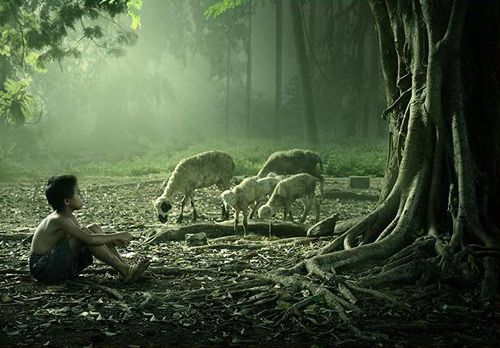 太阳成集团tyc7111cc_国家电投已经率先形成绿色多元产业结构(图1) 太阳成集团tyc7111cc