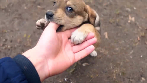 2019年蚌埠生育津贴新政策:怎么算、怎么领、领取条件【太阳成集团tyc7111cc】(图1) 太阳成集团tyc7111cc