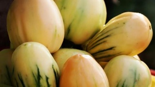 太阳成集团tyc7111cc