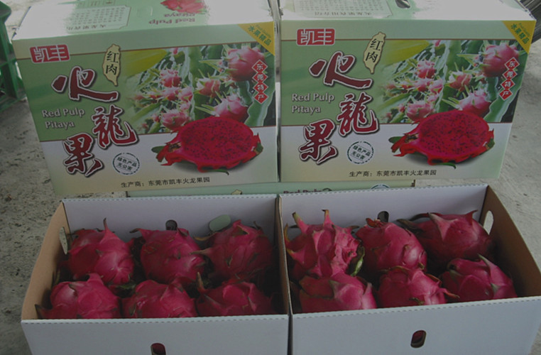 太阳成集团tyc7111cc