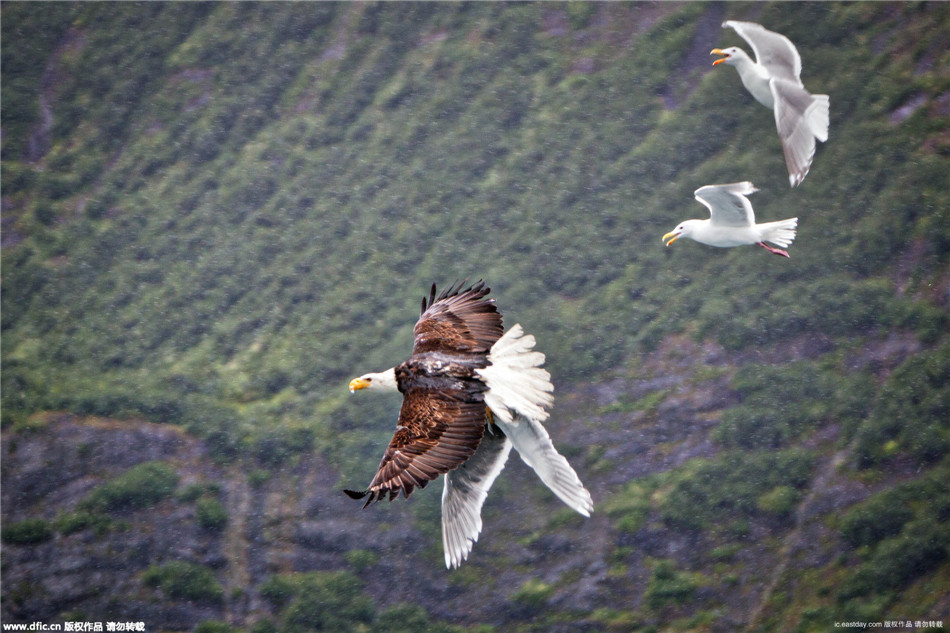 “太阳成集团tyc7111cc”
互联网公司起名套路大赏(图1) 太阳成集团tyc7111cc